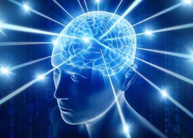 發現控制大腦可塑性的基本規則